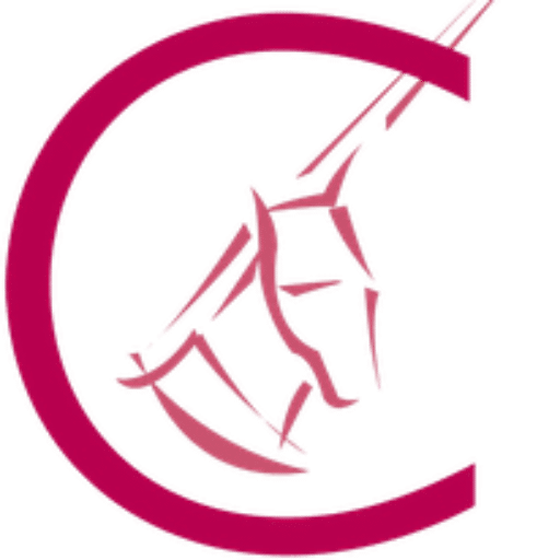 Association La chevalerie logo